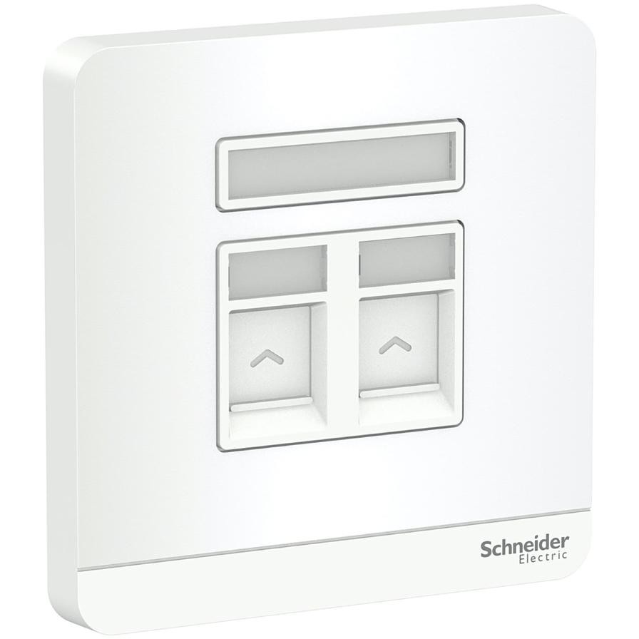 Schneider Electric AvatarOn 2 Gang Keystone Wall Plate (8.6 x 8.6 x 3.17 cm)