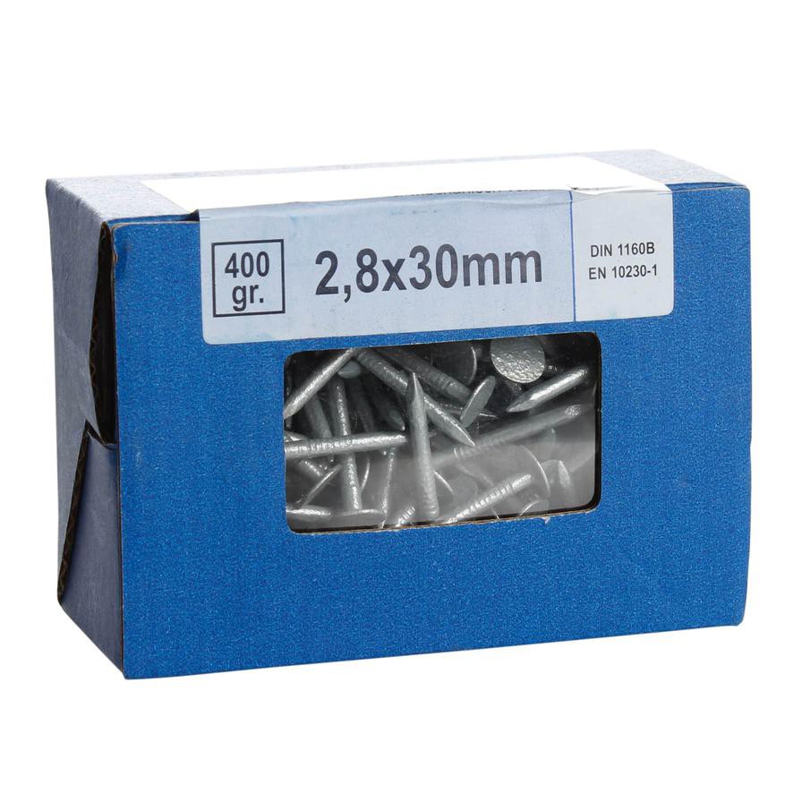 Suki Galvanize Steel Large Head Nail Box (0.25 x 3 cm, 400 g)