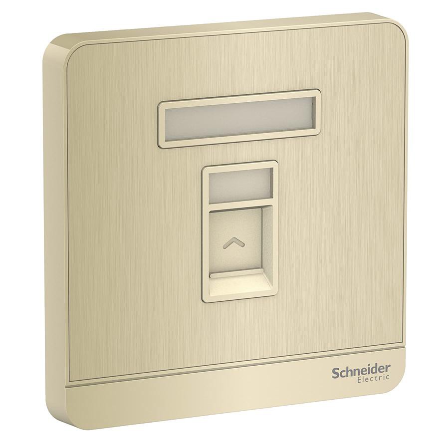 Schneider Electric AvatarOn Metal Gold Hairline Keystone Wall Plate RJ45, E8331RJS_GH