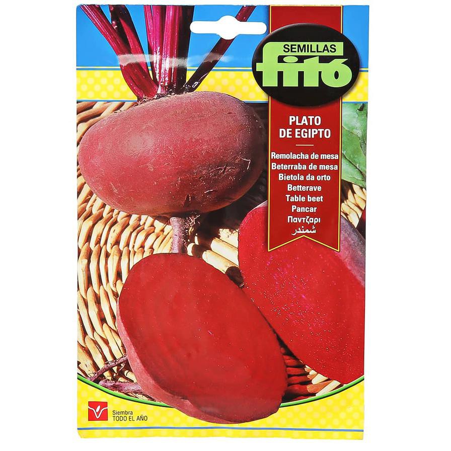 Fito Table Beet Plato de Egipto (13 g)