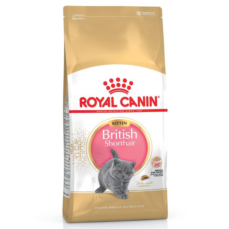 Royal Canin Feline Breed Nutrition British Shorthair Dry Cat Food (Kitten, 2 kg)