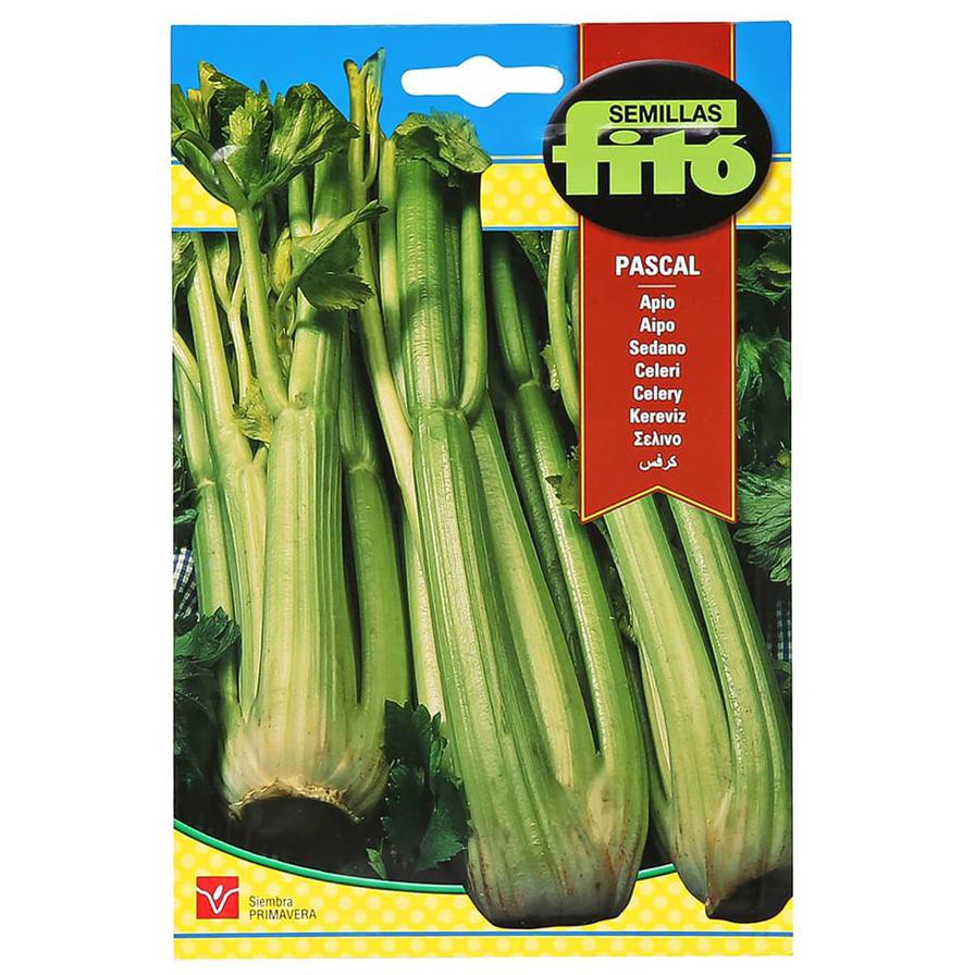 Fito Celery Pascal (3 g)