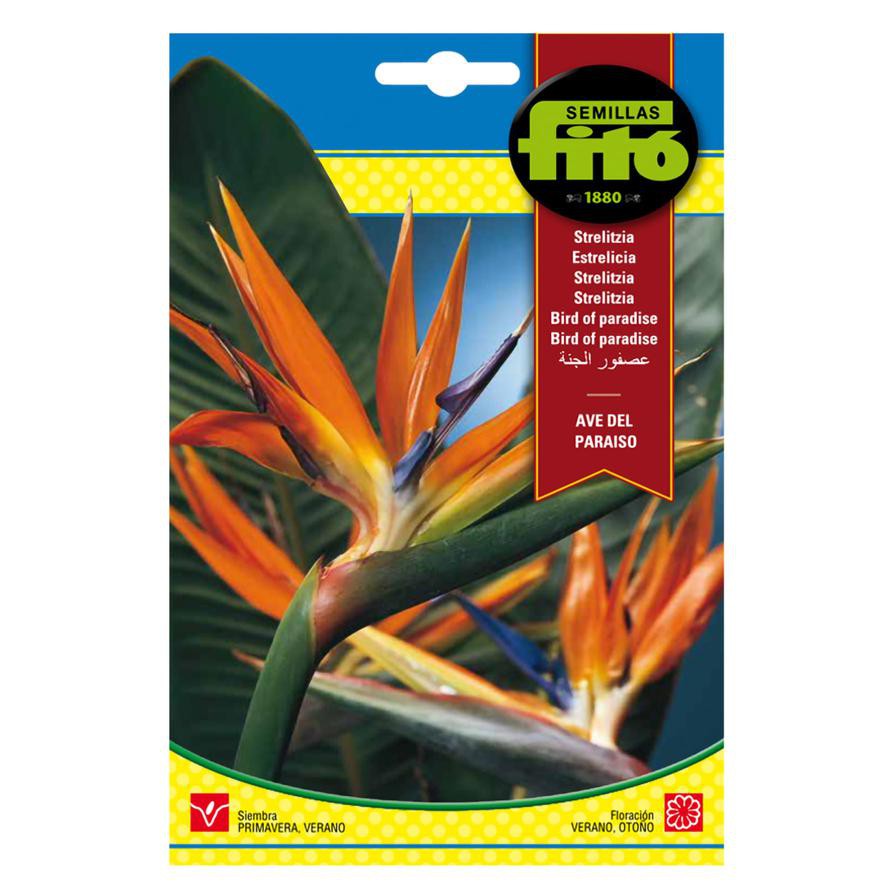 Fito Bird Of Paradise Flower Seed