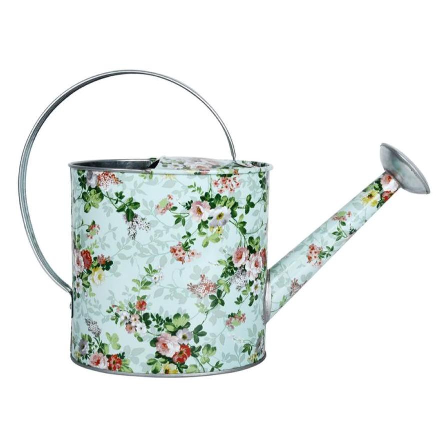 Fallen Fruits Indoor Watering Can (32 x 11 x 23 cm, Rose)