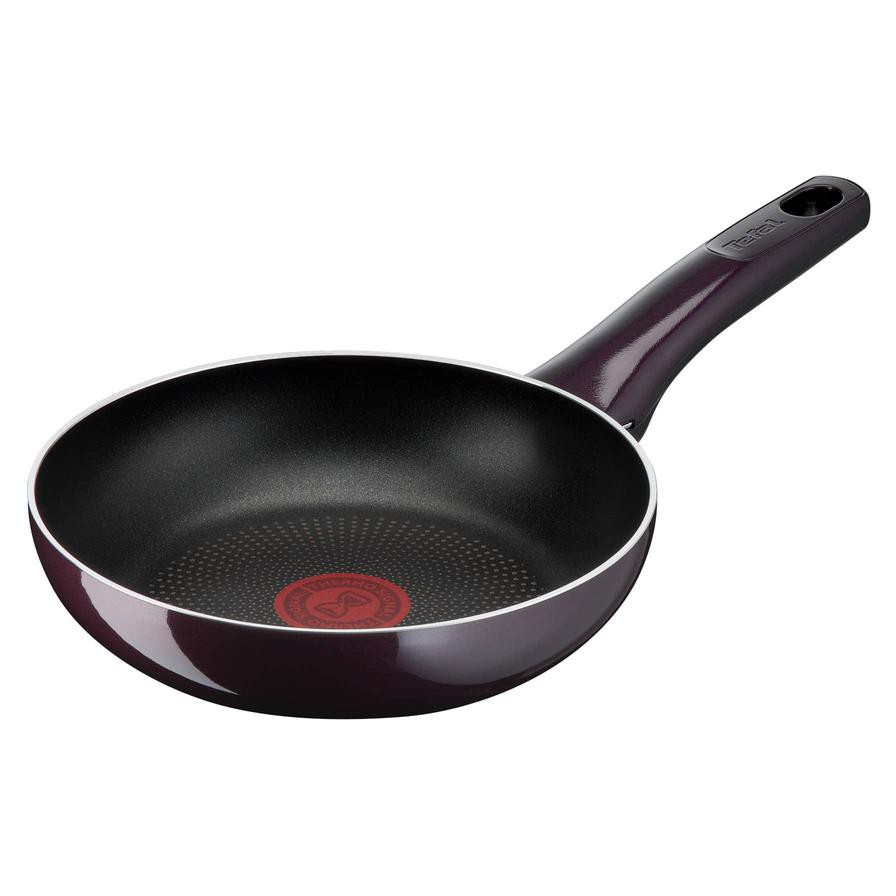 Tefal G6 Resist Intense Steel Fry Pan (20 cm)