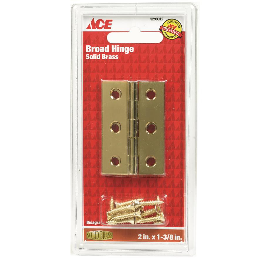 Ace Brass Broad Hinge (5 cm, 2 Pc.)