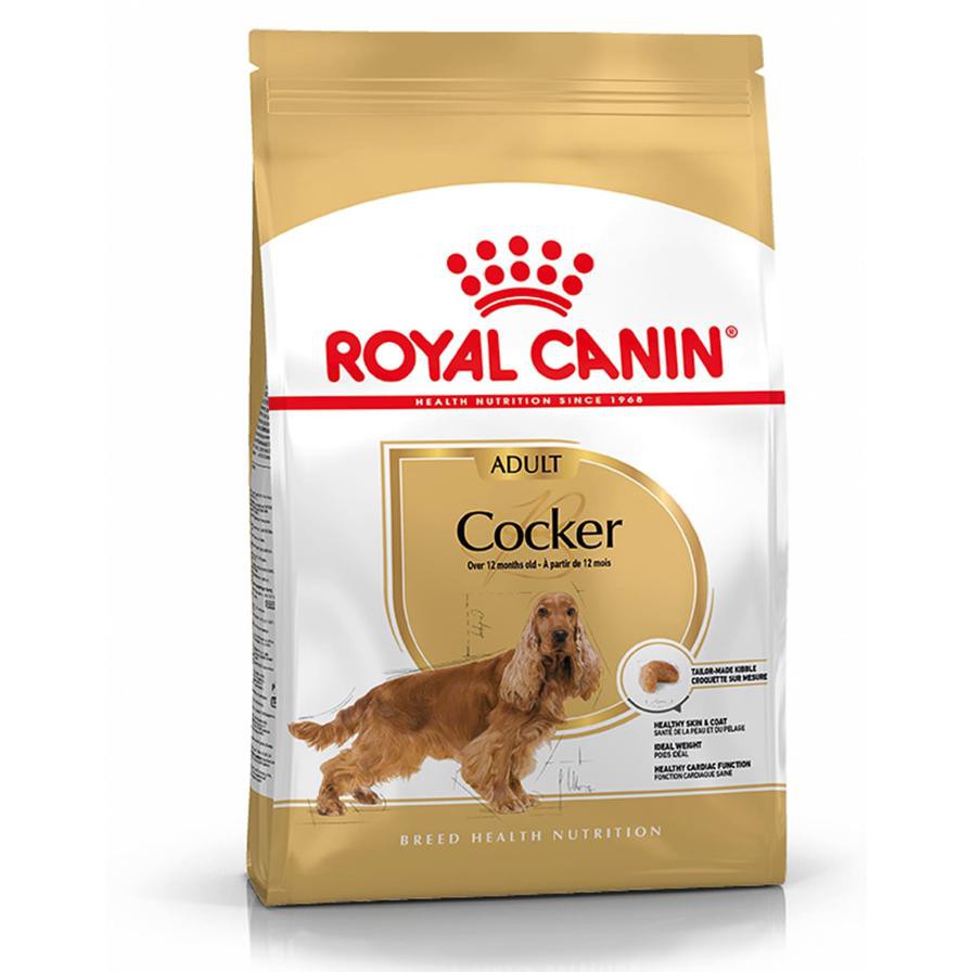 Royal Canin Breed Complete Cocker Spaniel Adult (3 kg)