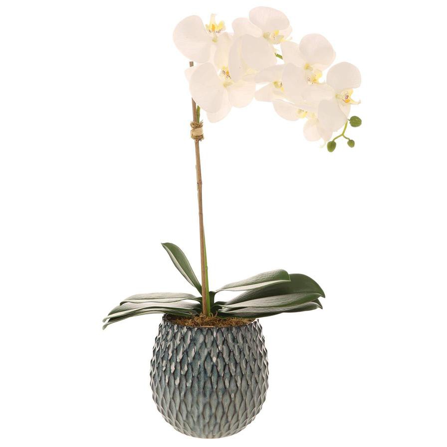 Artificial Orchid Plant (60 cm, White)