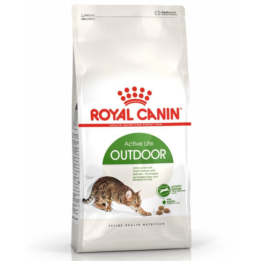 Royal Canin Active Life Outdoor Dry Cat Food (Adult Cats, 2 kg)