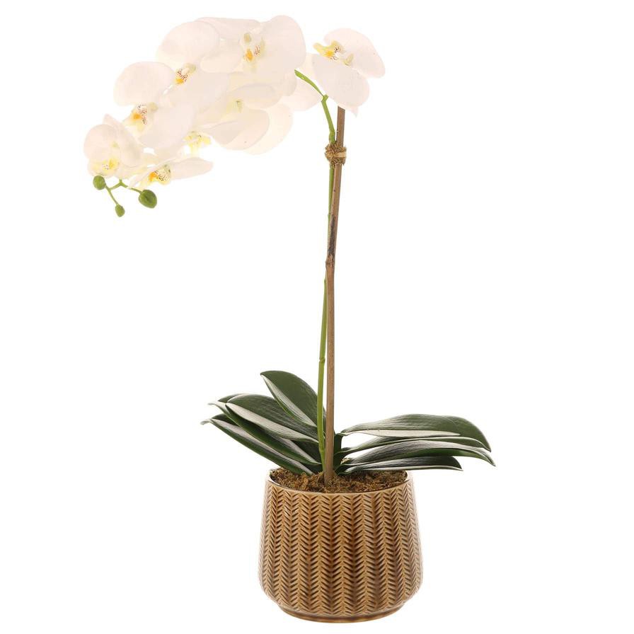 Artificial Orchid Plant (60 cm, White)