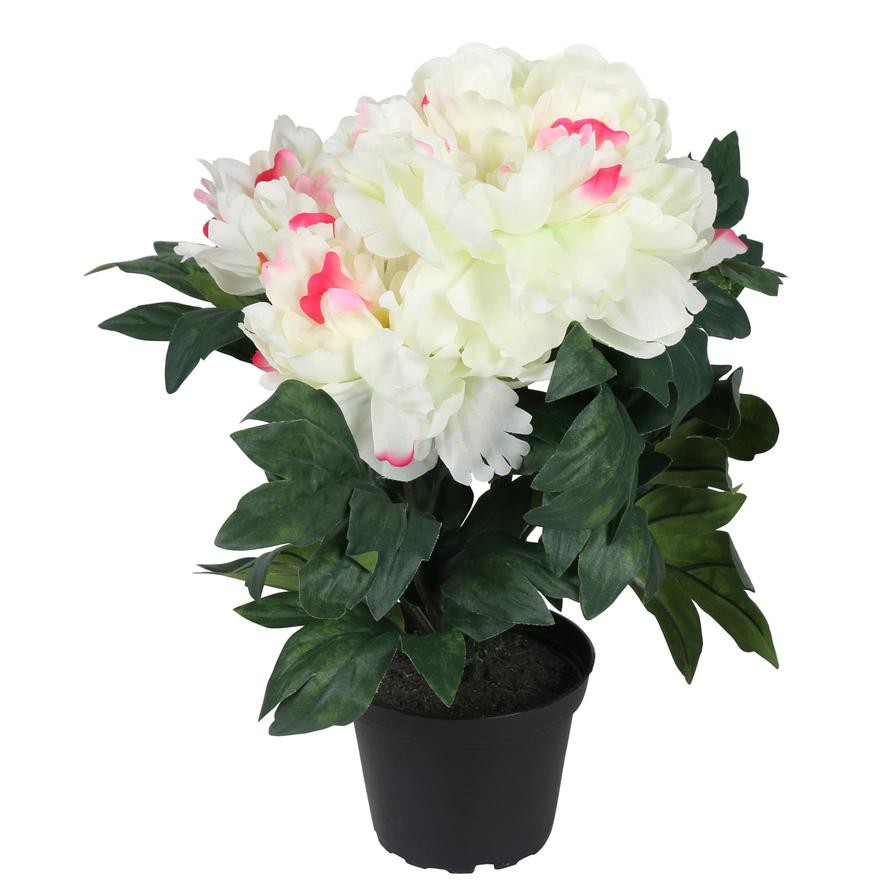 Artificial White Peony Plant