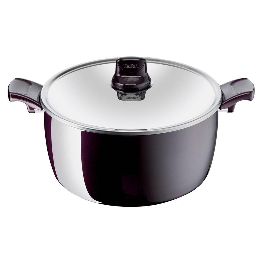 Tefal G6 Resist Intense Steel Stew Pot W/Lid (24 cm)