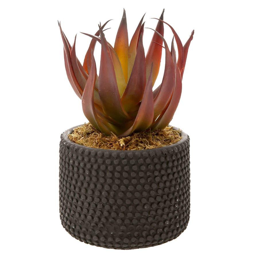 Artificial Potted Aloe Plant (20 cm, Red)