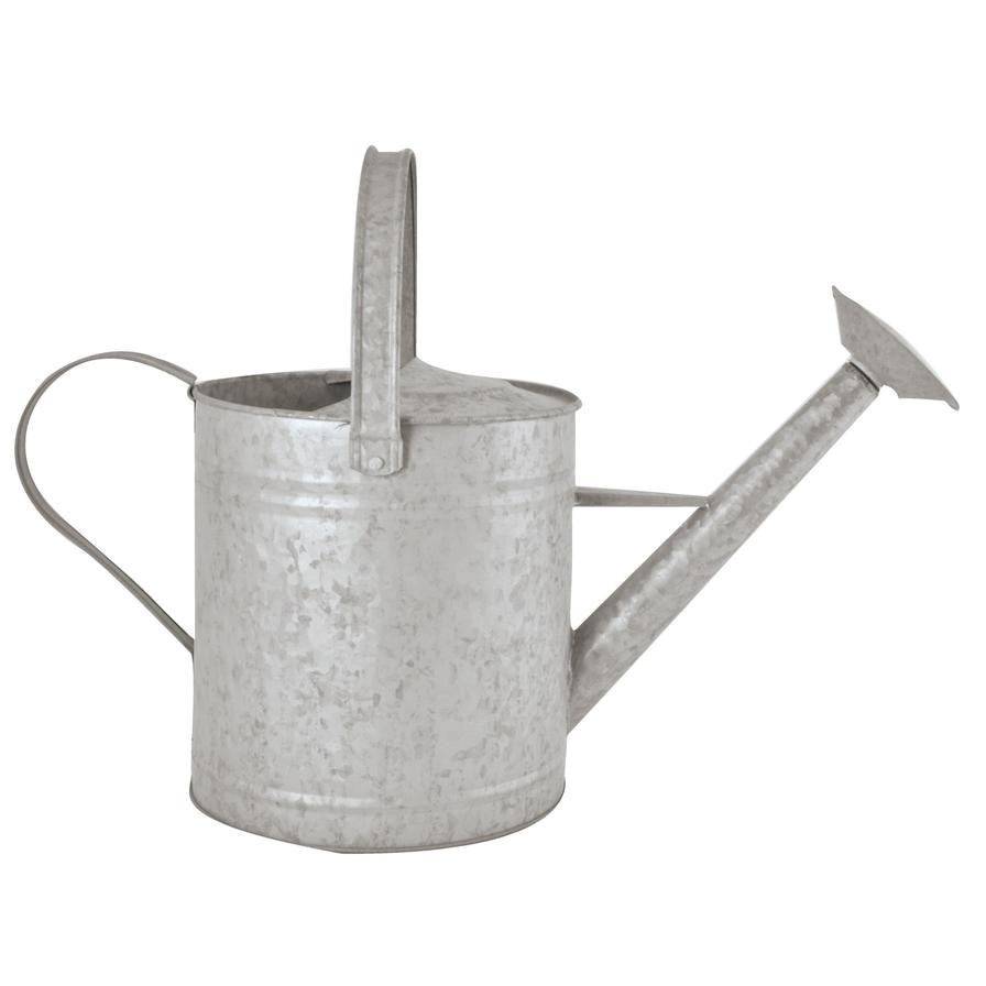 Fallen Fruits Old Zinc Watering Can (3.6 L, 36.9 x 17.8 x 20.5 cm)