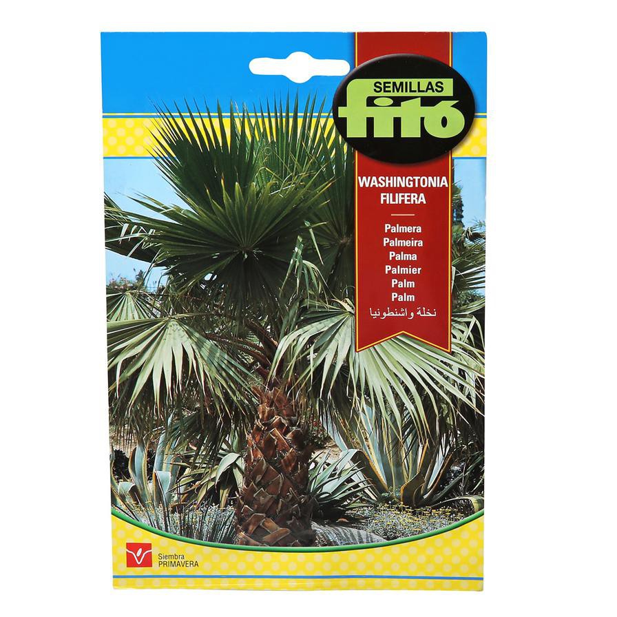 Semillas Fito California Fan Palm