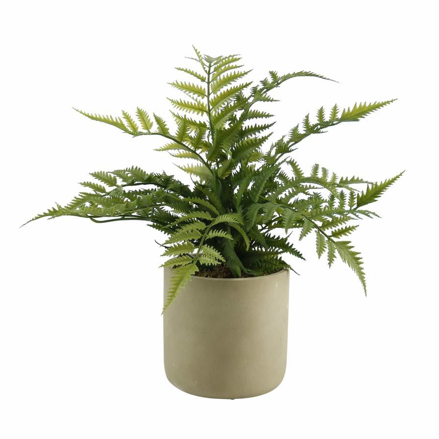 Artificial Fern Plant In Cement Pot