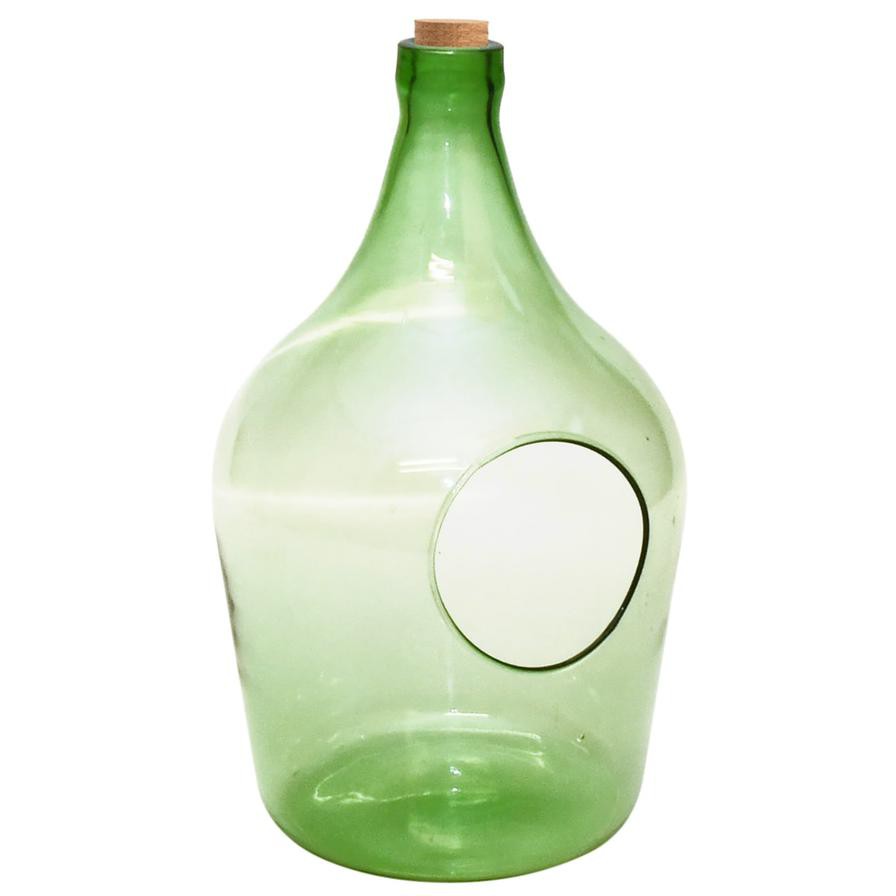 Fallen Fruits Open Terrarium Bottle (5 L, 19.8 x 19.3 x 33 cm)