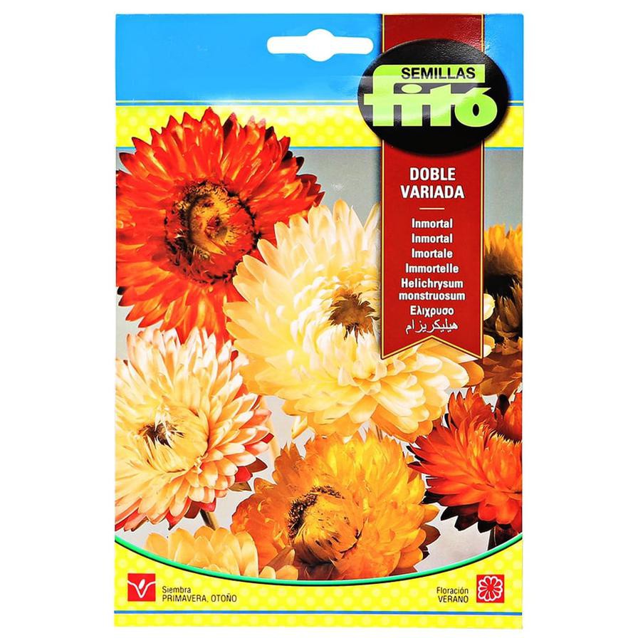 Semillas Fito Helichrysum Monstruosum Double Mixed (3 g)