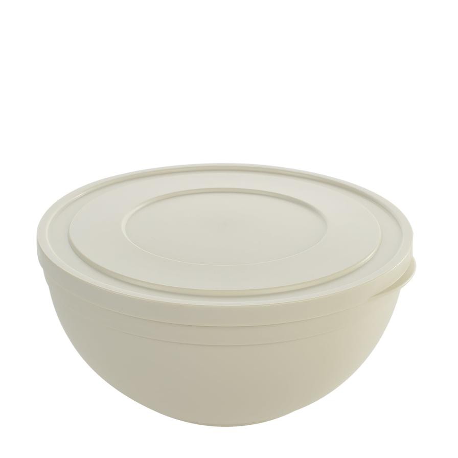 Hobby Life Plastic Sand Bowl W/Lid (8 L, 31.5 x 31.5 x 15.1 cm)