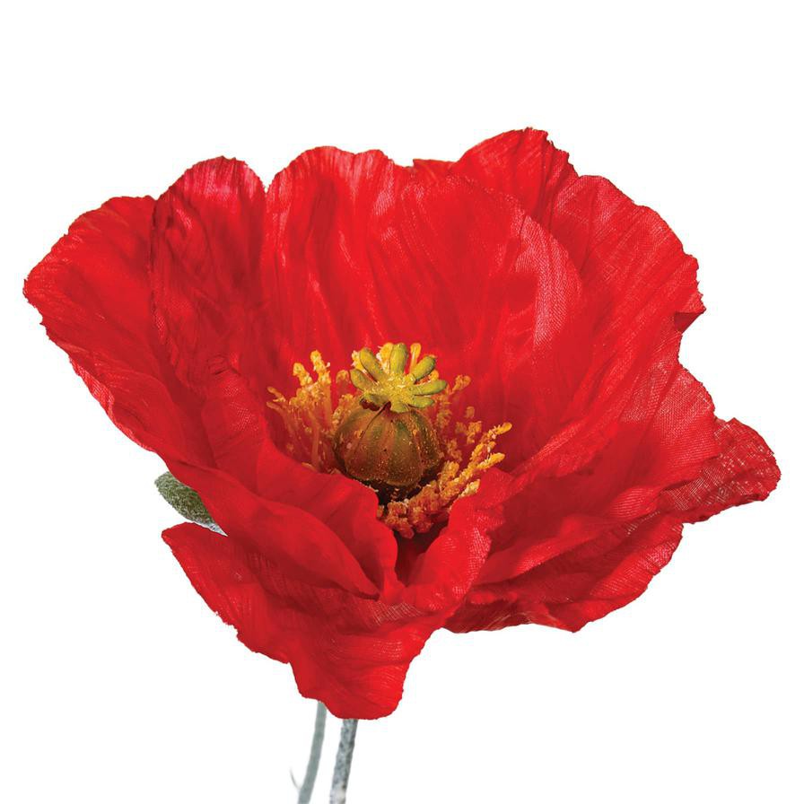 Atmosphera Artificial Decorative Poppy Plant