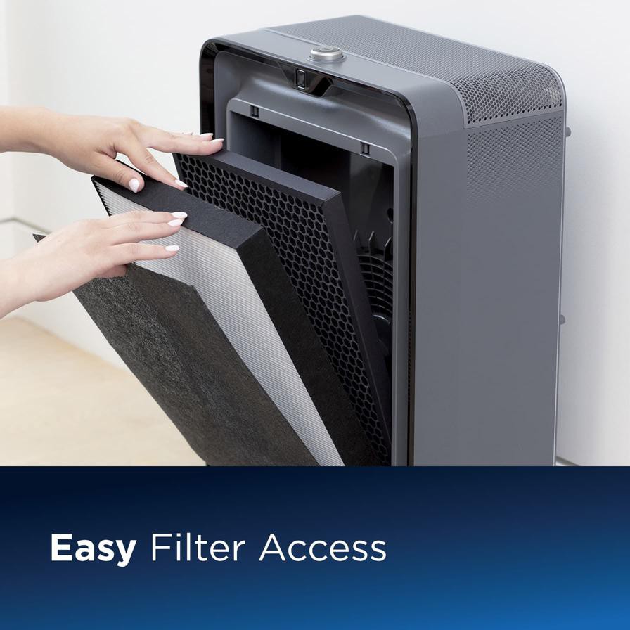 Bissell Activated Carbon Filter Replacement