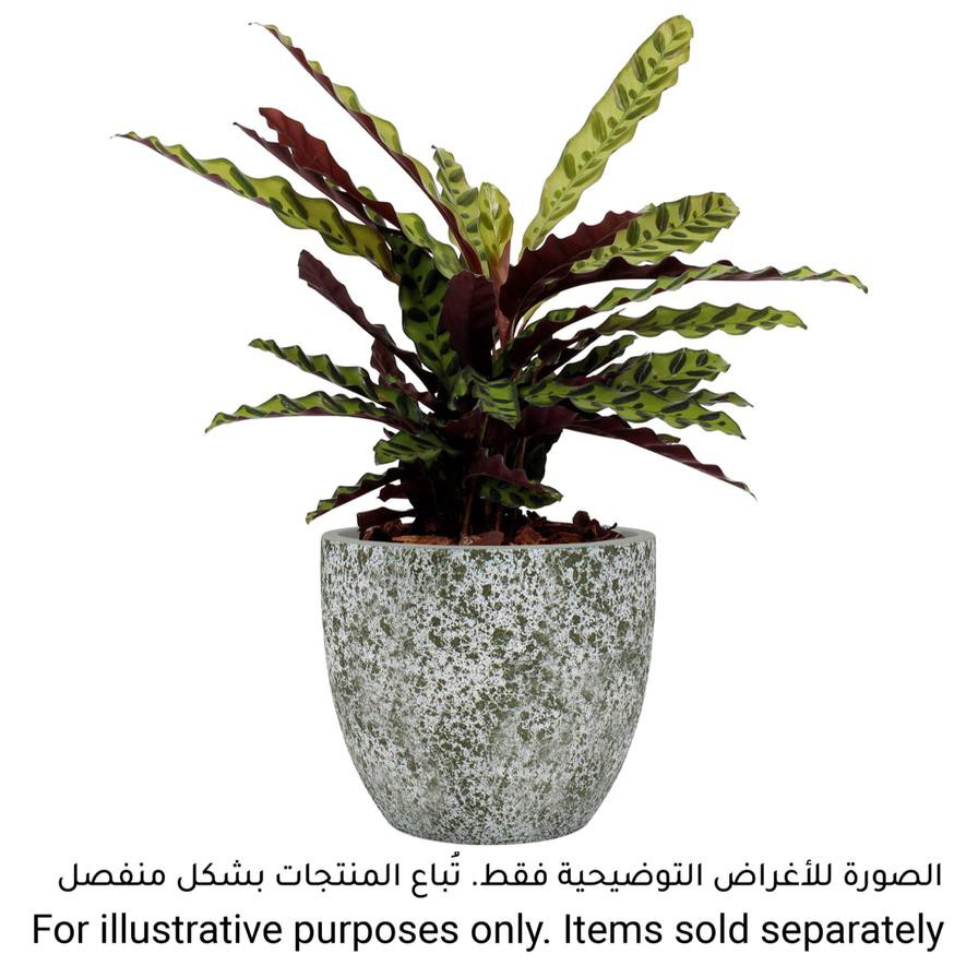 Artevasi Hestia Ceramic Plant Pot (28 cm)