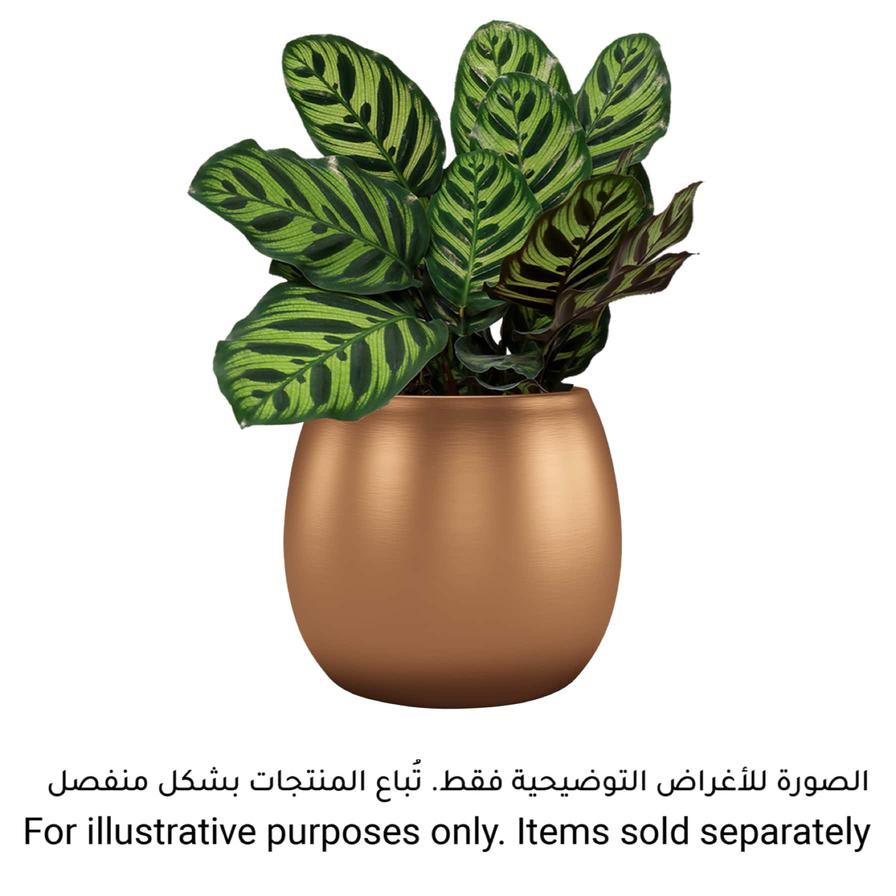 Artevasi Hera Ceramic Plant Pot (18 cm)