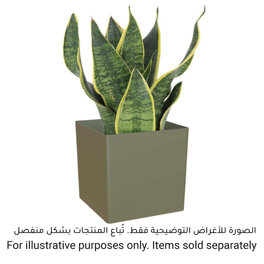 Artevasi Oslo Plant Pot (31 cm)