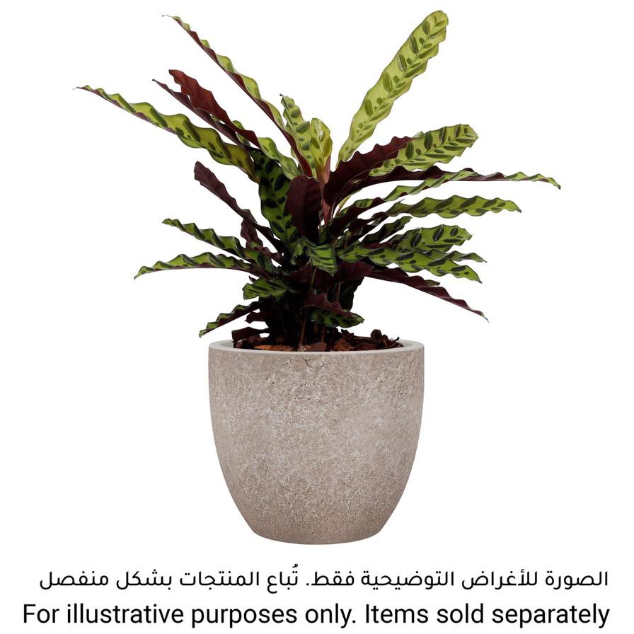 Artevasi Hestia Ceramic Plant Pot (28 cm)