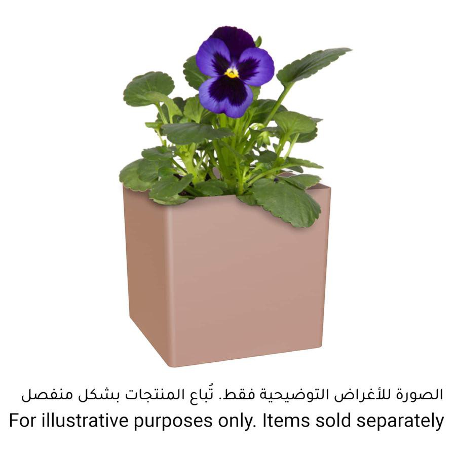 Artevasi Oslo Plant Pot (22 cm)