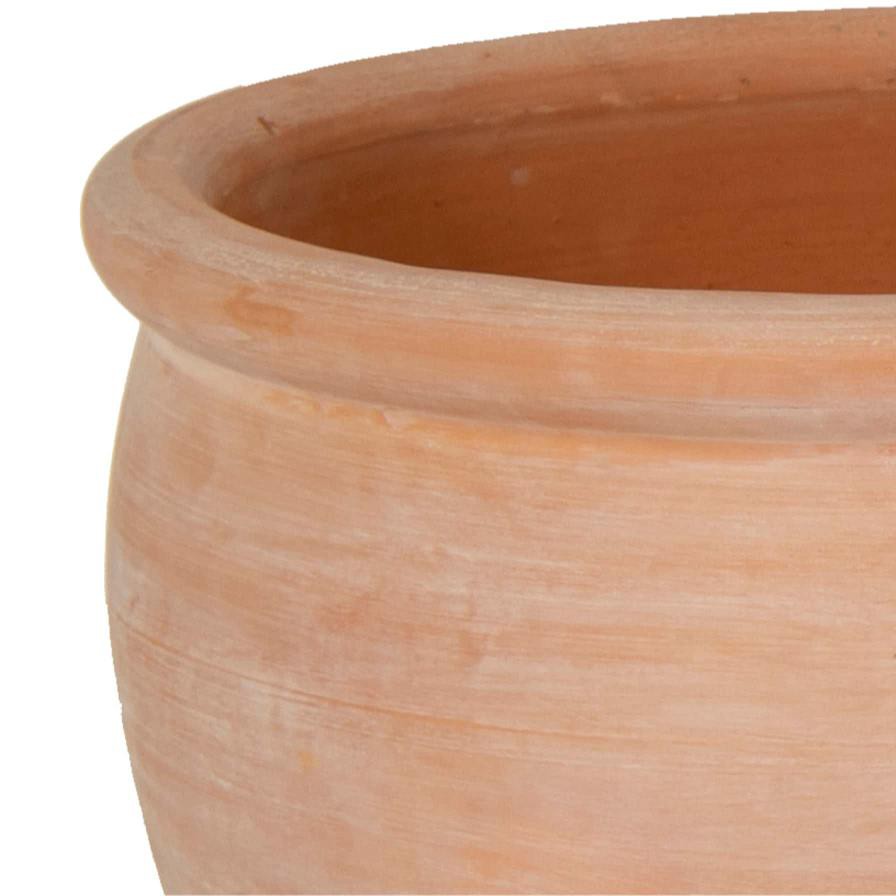 Glazed Terracotta Whitewash Belly Rim Plant Pot Generic (39 x 39 x 29 cm, Large)