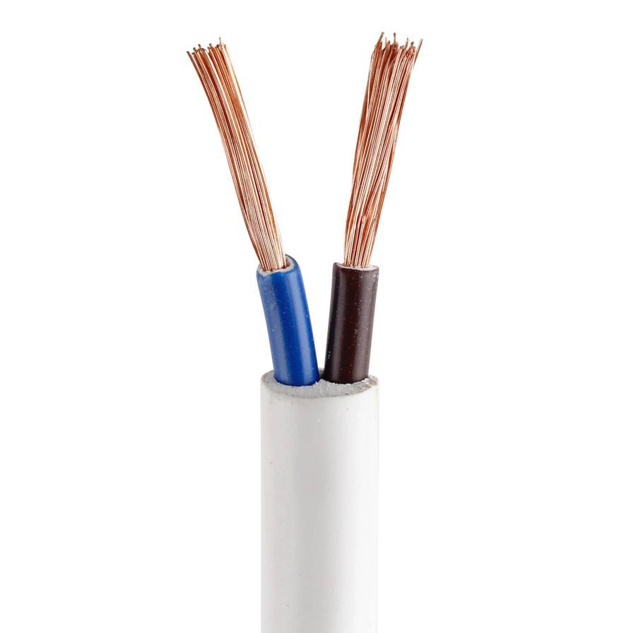 Oshtraco 2-Core Flexible Copper Cable Roll (2.50 mm x 1 m, Sold Per Meter)