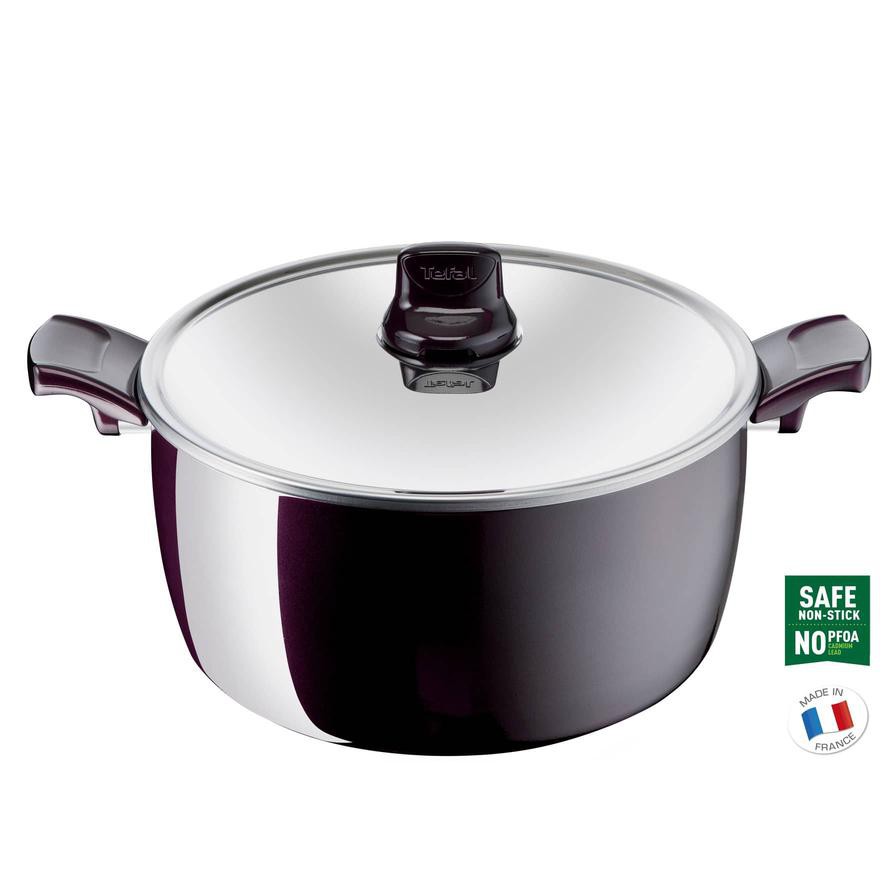 Tefal G6 Resist Intense Steel Stew Pot W/Lid (30 cm)