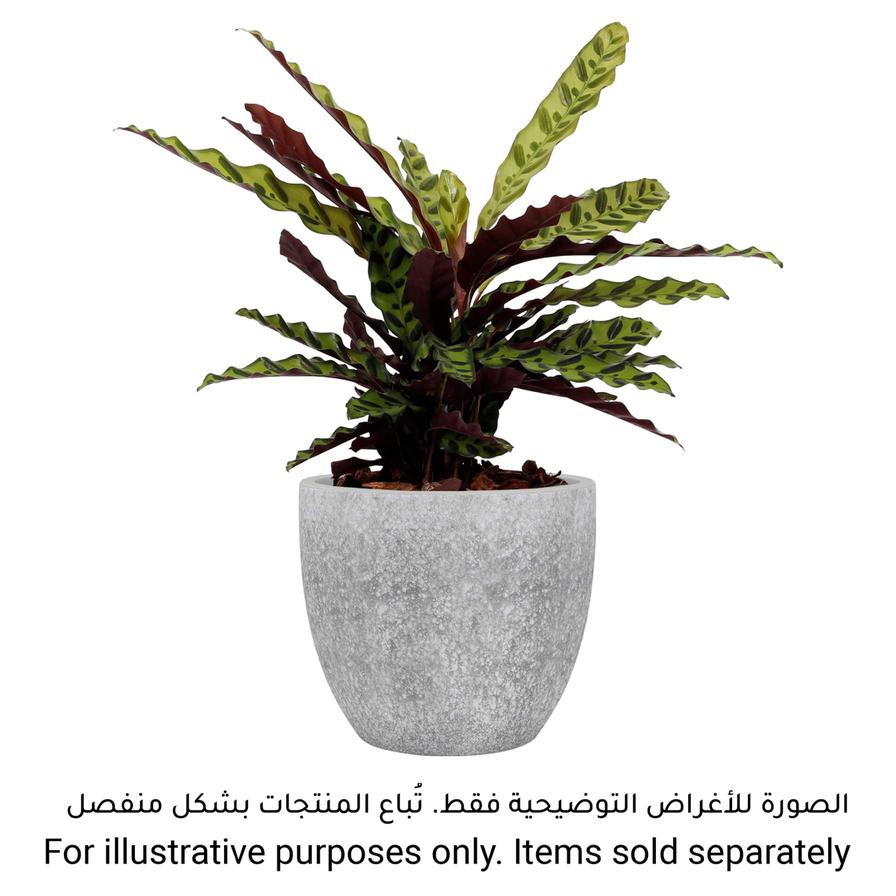 Artevasi Hestia Ceramic Plant Pot (25 cm)