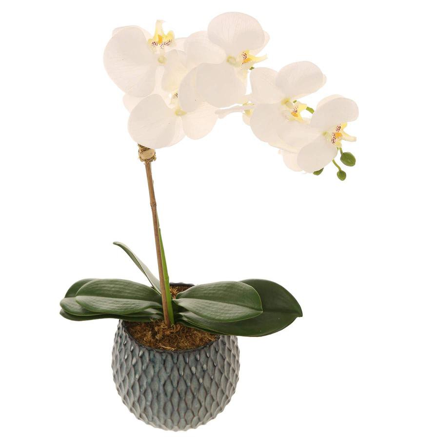 Artificial Orchid Plant (60 cm, White)