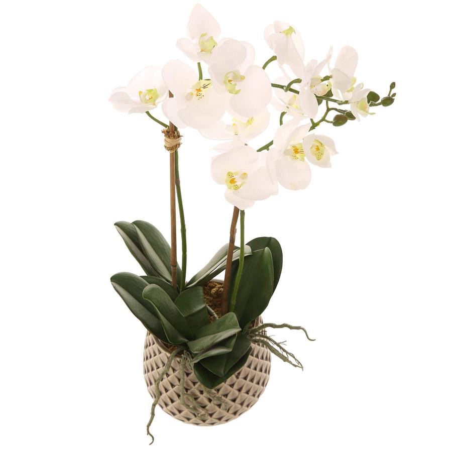 Artificial Orchid Plant (60 cm, White)