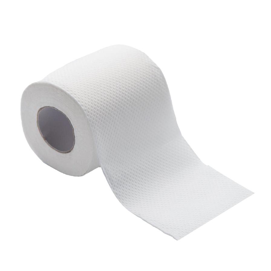 Pure 2-Ply Toilet Roll Pack (250 Sheets, 12 Pc.)