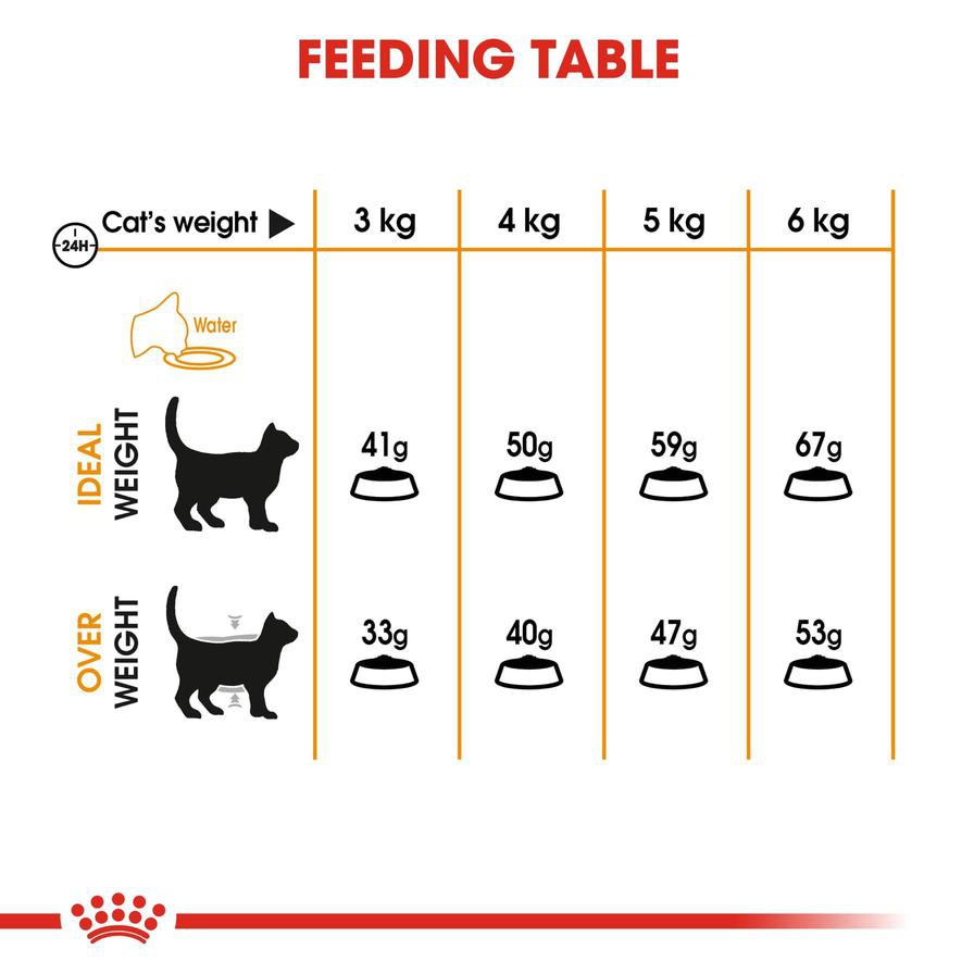 Royal Canin Feline Care Nutrition Hair & Skin Cat Food (10 kg)