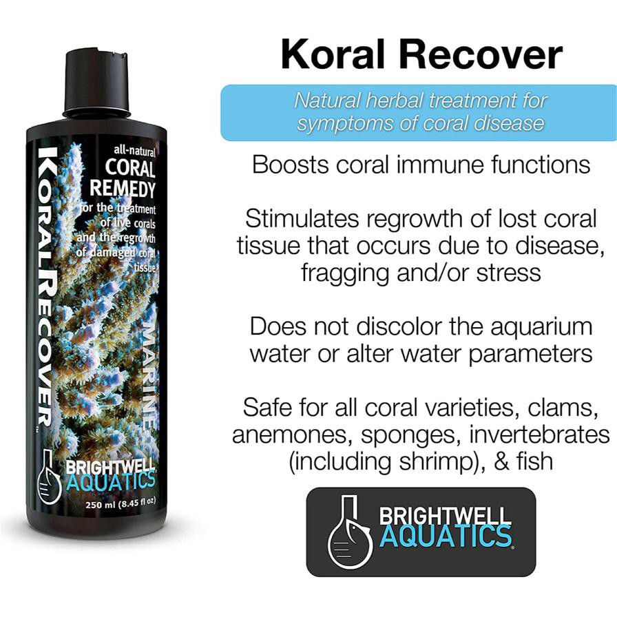 Brigthwell Koral Recovery (250 ml)