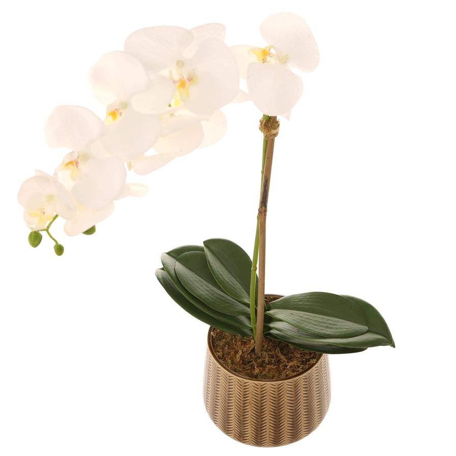 Artificial Orchid Plant (60 cm, White)