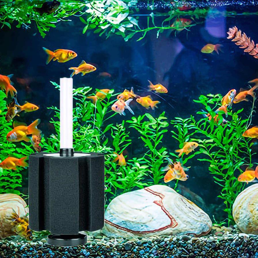 Chicos Bio Sponge Aquarium Filter (12 x 10 cm)