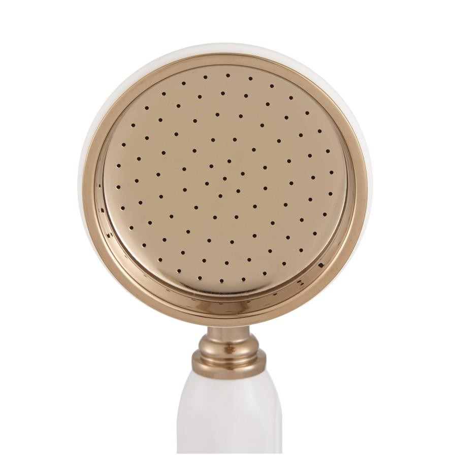 Cooke & Lewis Brass Single-Spray Pattern Shower Head (223 x 71 x 100 mm)