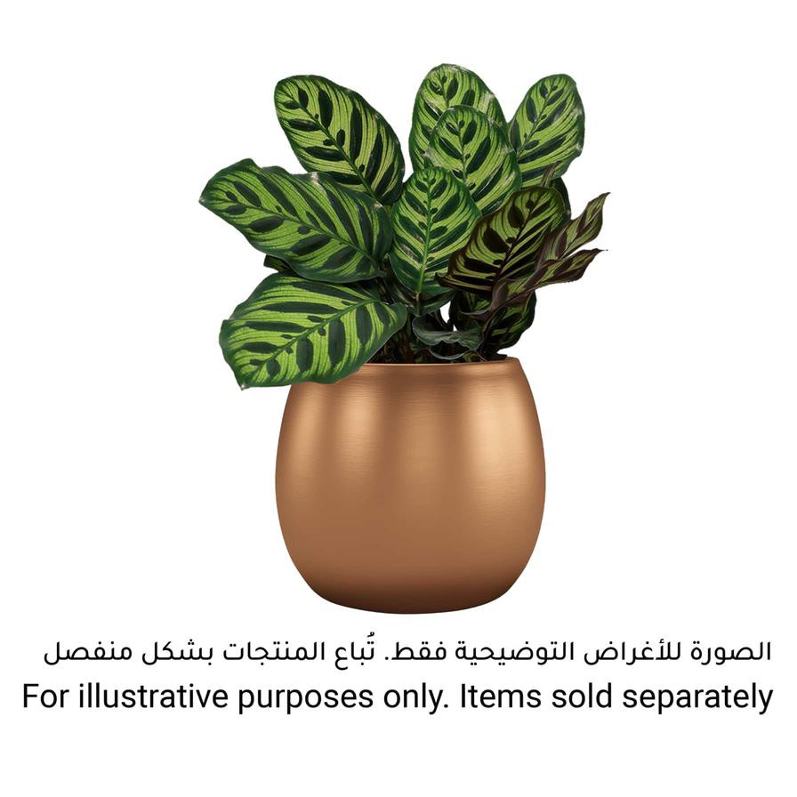 Artevasi Hera Ceramic Plant Pot (22 cm)