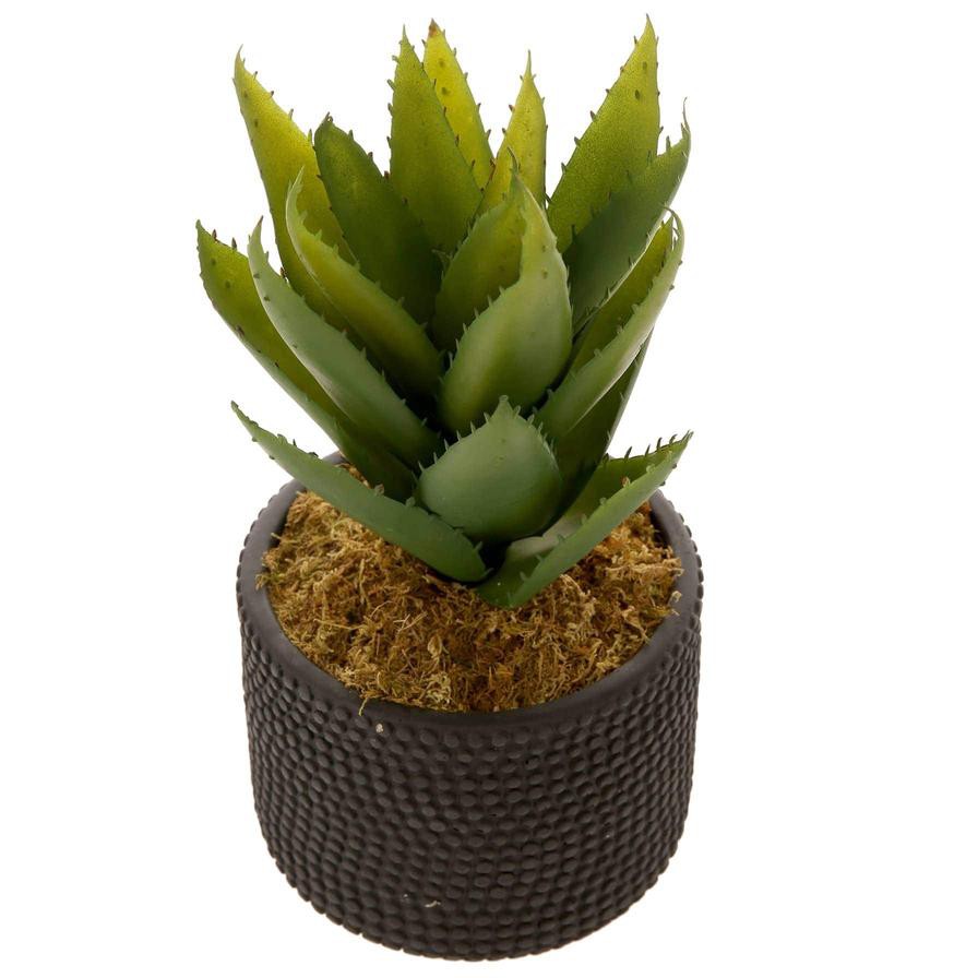 Artificial Potted Agave Plant (30 cm)