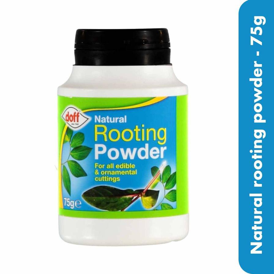 Doff Natural Rooting Powder (75 g)