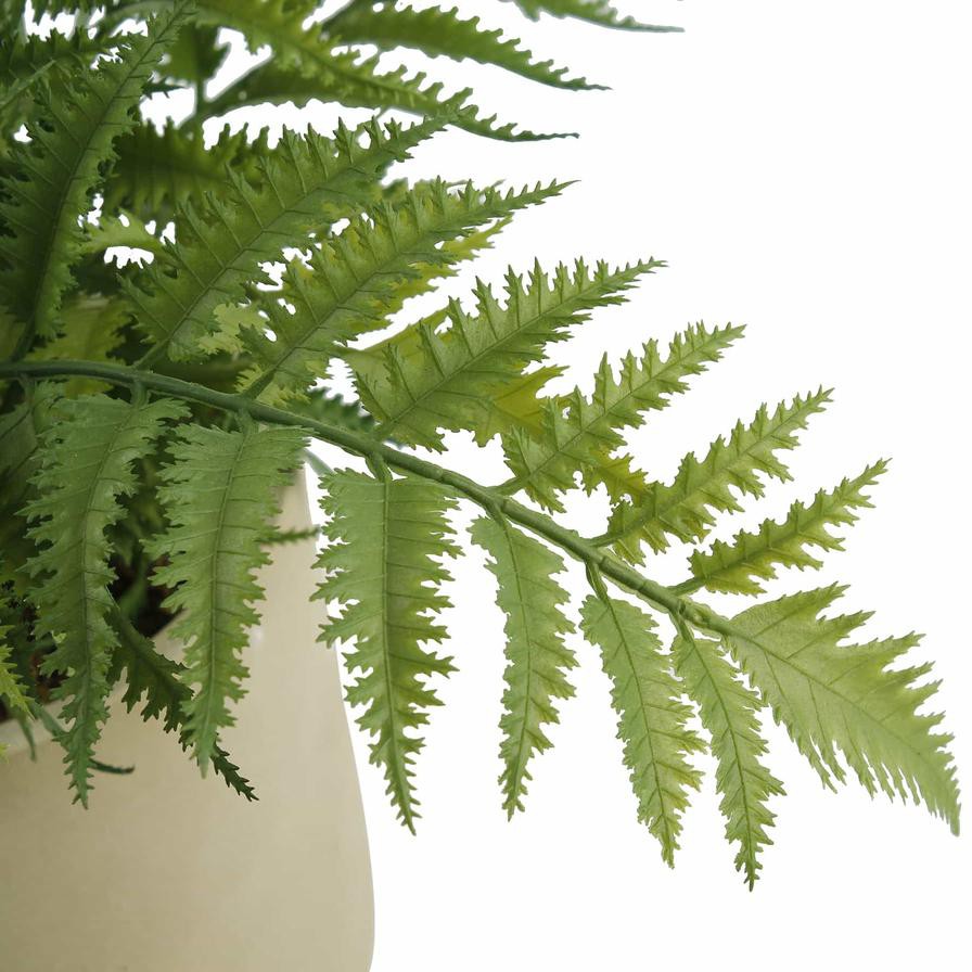 Artificial Fern Plant In Cement Pot