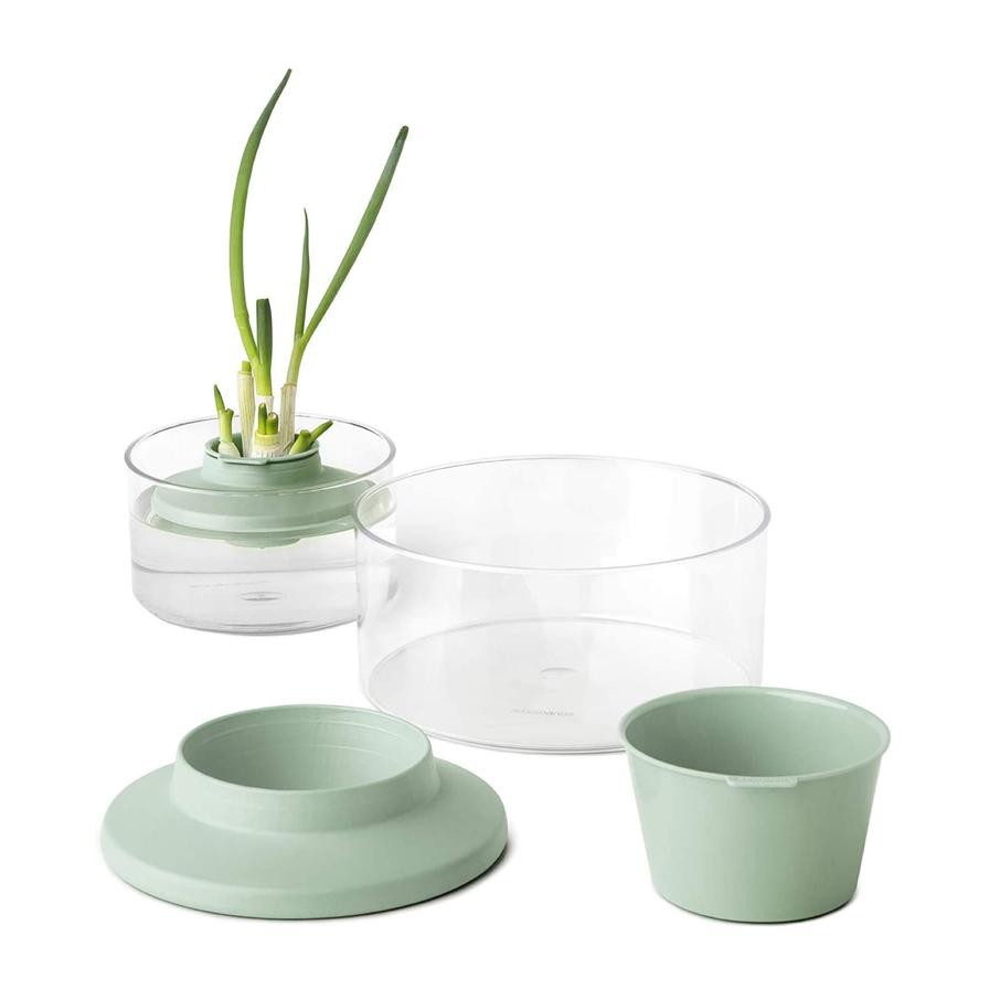 Brabantia Tasty+ Herbs & Vegetable Regrow Kit (18 x 10 cm)