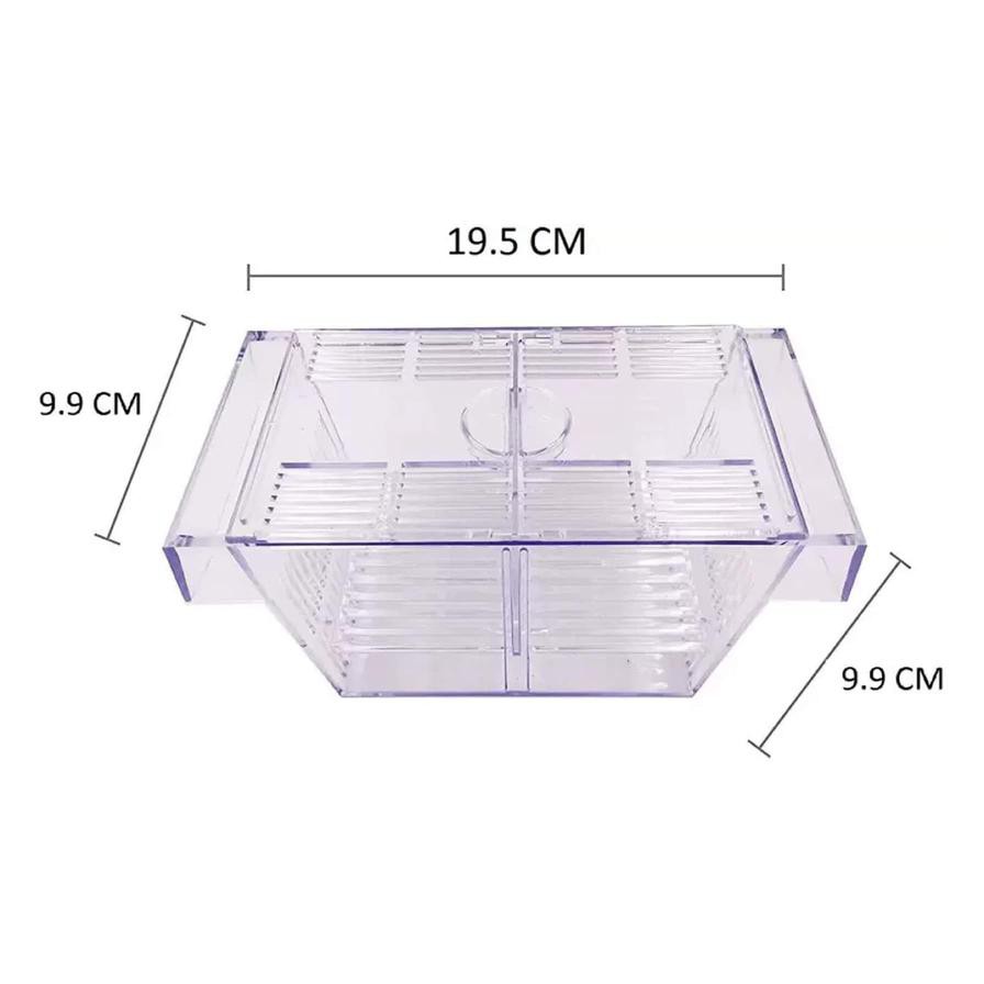 Foshan Acrylic Fish Hatchery Box