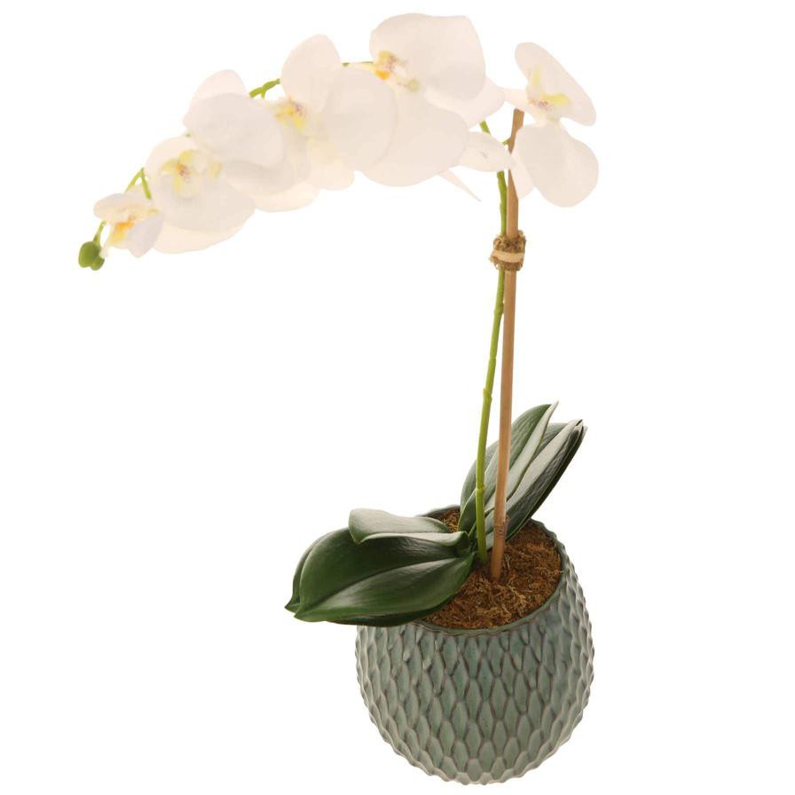 Artificial Orchid Plant (60 cm, White)