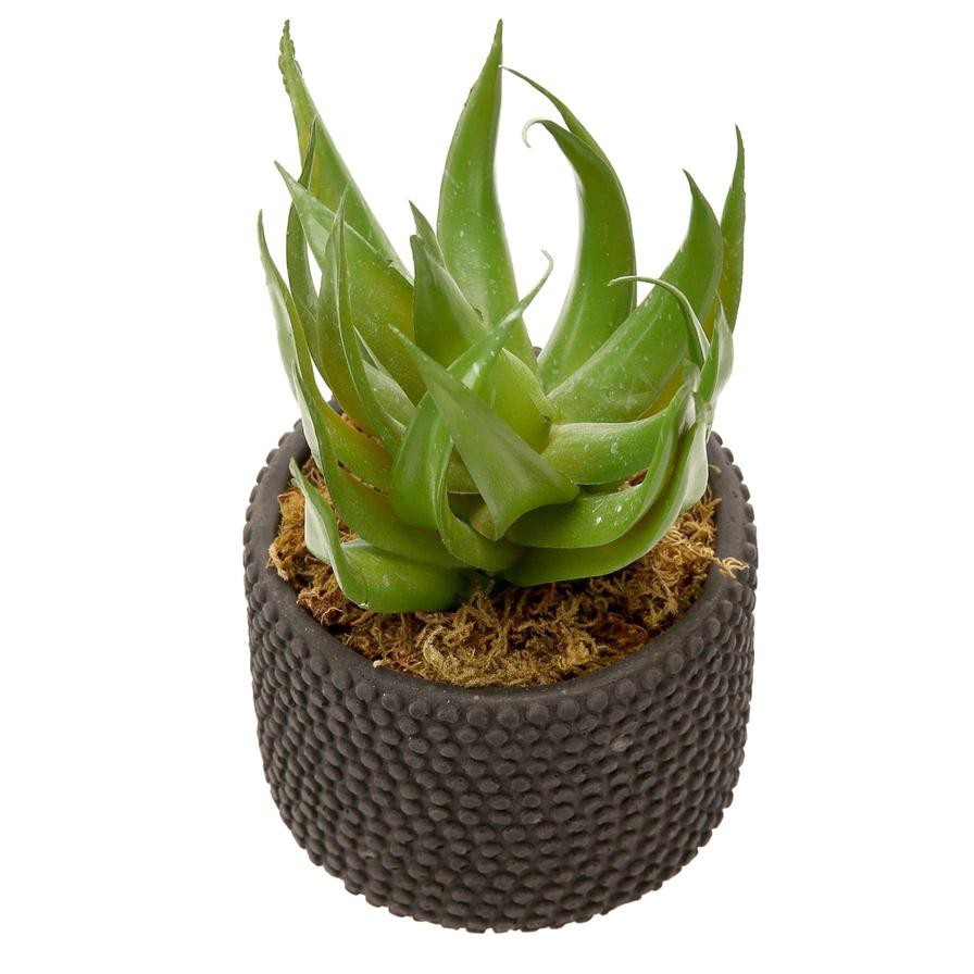 Artificial Potted Aloe Plant (20 cm, Green)